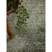 Kusový koberec Ted Baker Notting Hill 106346 Green