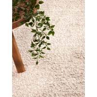 Kusový koberec Ted Baker Notting Hill 106343 Cream Beige