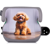 CHIPOLINO Podsedák Go Boost i-Size 125-150 cm Poodle