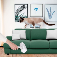 Kefa na čistenie srsti