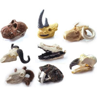 JOKOMISIADA Archeologická sada: Tajomná lebka