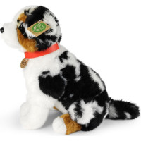 Rappa Plyšový pes austrálsky ovčiak 35 cm ECO-FRIENDLY