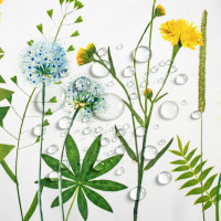 Veľkonočný obrus BLOOM Kvety - 140x200 cm - biely