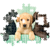 CLEMENTONI Puzzle Tri labradori 1000 dielikov