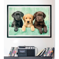 CLEMENTONI Puzzle Tri labradori 1000 dielikov