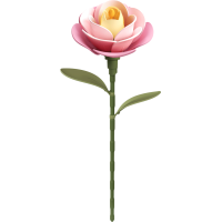 ROBOTIME Roker Floral Art: 3D puzzle Ružová kamélia 37 dielikov