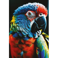 INTERDRUK Puzzle Colorful Nature: Papagáj 250 dielikov