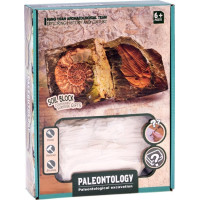 JOKOMISIADA Archeologická sada: Tajomná fosília