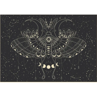 INTERDRUK Puzzle Galaxy: Mesačný motýľ 500 dielikov