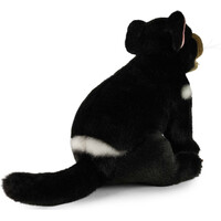 Rappa Plyšový tasmánsky čert 25 cm ECO-FRIENDLY