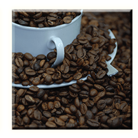 Obraz na plátne 30x30cm COFFEE BEANS - vzor 20