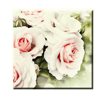 Obraz na plátne 30x30cm WHITE FLOWER - vzor 37