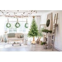 Vánoční stromek - diamantová borovice [CLONE] [CLONE] [CLONE] [CLONE] [CLONE] [CLONE] [CLONE] [CLONE]