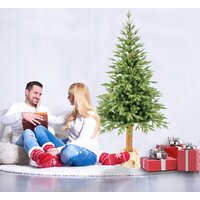 Vánoční stromek - diamantová borovice [CLONE] [CLONE] [CLONE] [CLONE] [CLONE] [CLONE] [CLONE] [CLONE]