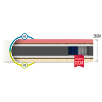 Taštičkový matrac PAUL 200x120x26 cm - latex / pamäťová pena / kokos