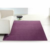 Kusový koberec Nasty - fialový 80x200 cm