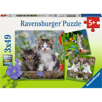 RAVENSBURGER Puzzle Mačiatka 3x49 dielikov