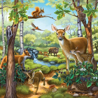 RAVENSBURGER Puzzle Zvieratá v lese, ZOO a na statku 3x49 dielikov