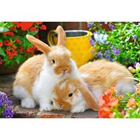 RAVENSBURGER Puzzle Čas na maznanie 2x12 dielikov