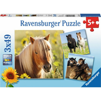 RAVENSBURGER Puzzle Poníky 3x49 dielikov