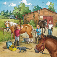RAVENSBURGER Puzzle Deň u koní 3x49 dielikov