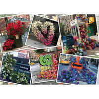RAVENSBURGER Puzzle Kvety v New Yorku 1000 dielikov