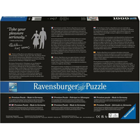 RAVENSBURGER Puzzle Eames: Design Spectrum 1000 dielikov