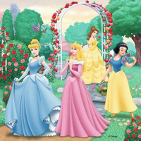 RAVENSBURGER Puzzle Disney princeznej: Sny 3x49 dielikov