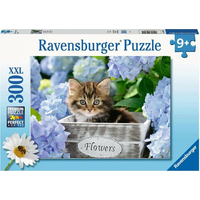 RAVENSBURGER Puzzle Malé mačiatko XXL 300 dielikov