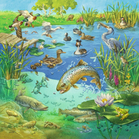 RAVENSBURGER Puzzle Zvieratká vo svojich domovoch 3x49 dielikov