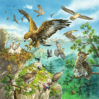RAVENSBURGER Puzzle Zvieratká vo svojich domovoch 3x49 dielikov