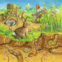 RAVENSBURGER Puzzle Zvieratká vo svojich domovoch 3x49 dielikov