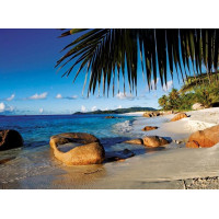 RAVENSBURGER Puzzle Pod palmami 1000 dielikov