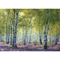 RAVENSBURGER Puzzle Brezový les Birkenwald, Francúzsko 1000 dielikov