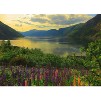 RAVENSBURGER Puzzle Fjord v Nórsku 1000 dielikov