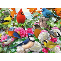 RAVENSBURGER Puzzle Záhradné vtáky 500 dielikov
