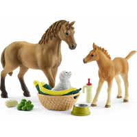 SCHLEICH Horse Club® 42432 Set žriebä a Quarter kôň so šteniatkom a doplnky