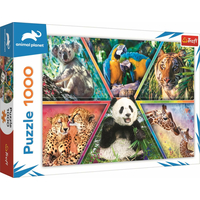 TREFL Puzzle Animal Planet: Kráľovstvo zvierat 1000 dielikov