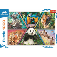 TREFL Puzzle Animal Planet: Kráľovstvo zvierat 1000 dielikov