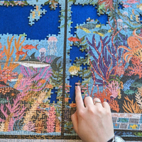 GIBSONS Puzzle Aquarium 1000 dielikov