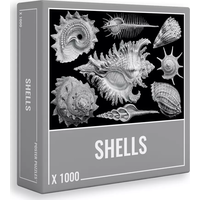 CLOUDBERRIES Puzzle Shells 1000 dielikov