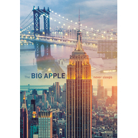 TREFL Puzzle New York za úsvitu 1000 dielikov