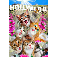 WOODEN CITY Drevené puzzle Mačiatka v Hollywoode 2v1, 75 dielikov EKO