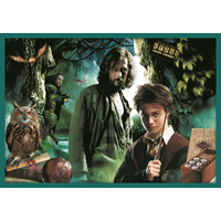 TREFL Puzzle Harry Potter MEGA PACK 10v1