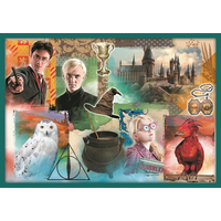 TREFL Puzzle Harry Potter MEGA PACK 10v1