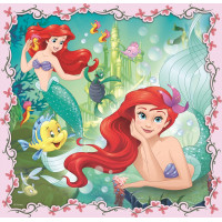 TREFL Puzzle Disney princeznej s priateľmi 3v1 (20,36,50 dielikov)