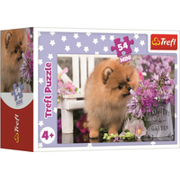 TREFL Displej Puzzle Roztomilé zvieratká 54 dielikov (40 ks)