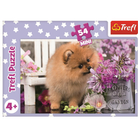 TREFL Displej Puzzle Roztomilé zvieratká 54 dielikov (40 ks)