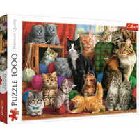 TREFL Puzzle Mačacie stretnutie 1000 dielikov