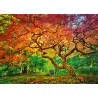 CHERRY PAZZI Puzzle Koruna stromu 1000 dielikov
